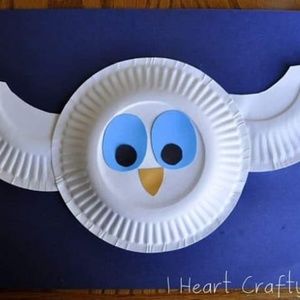 Meet your Posher, Gracieuse bebel